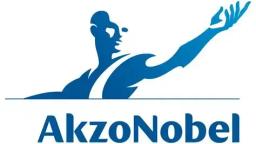 Akzonobel paints