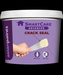 Asian Paints SmartCare Crack Seal Advanced filler