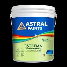 Astral Esteema Premium Sheen Interior Emulsion paint pack