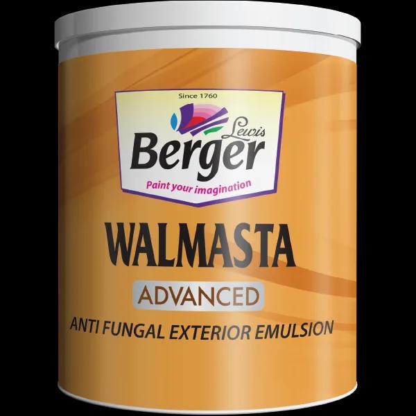 Berger Walmasta Advanced exterior matt emulsion