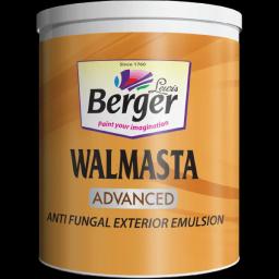 Berger Walmasta Advanced exterior matt emulsion