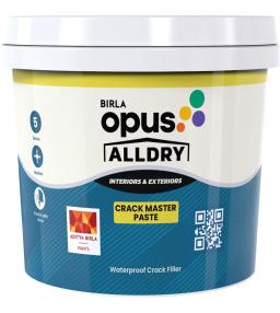 Birla Opus Alldry Crack Master Paste pack