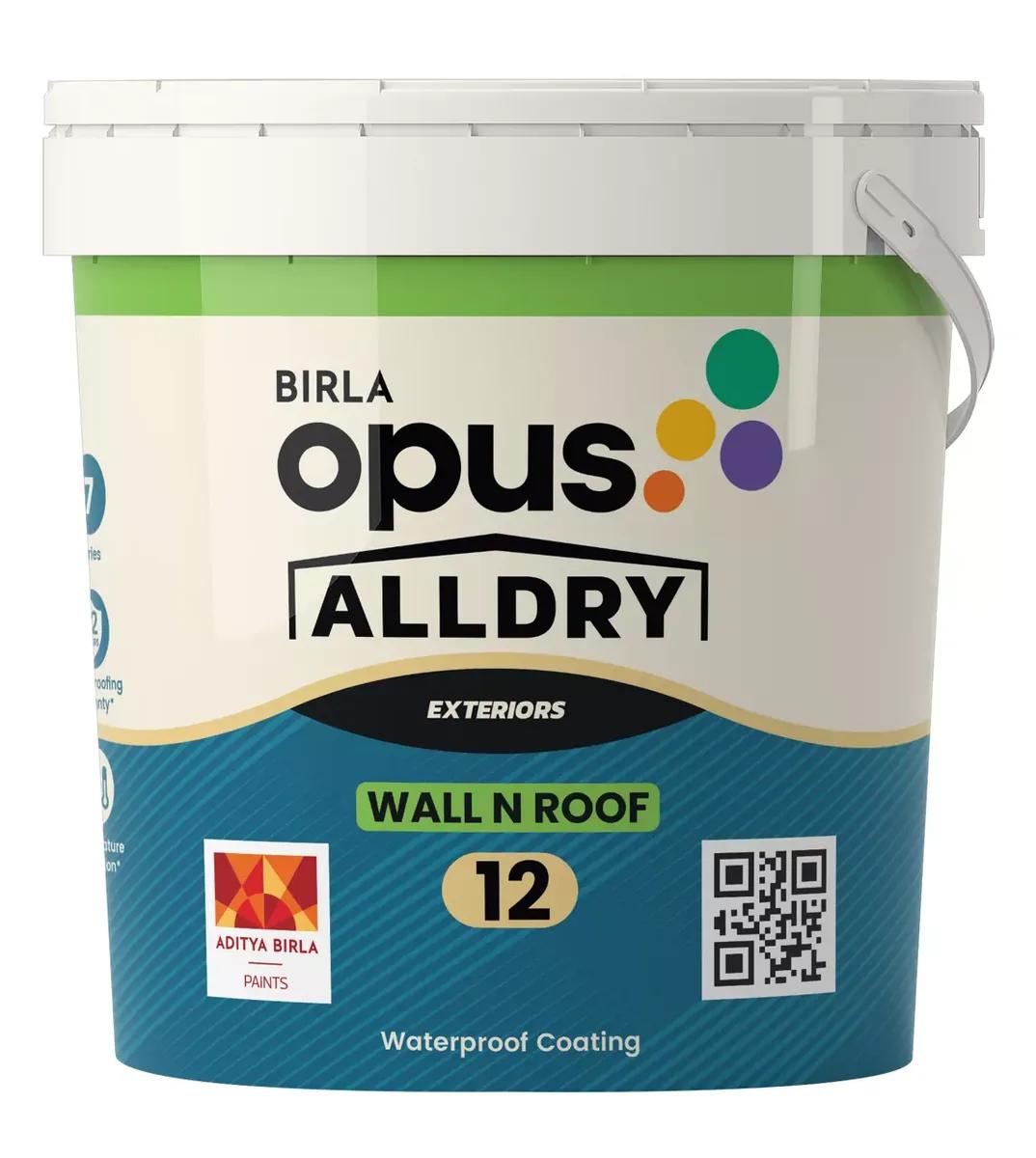 Birla Opus Alldry Wall n Roof 12
