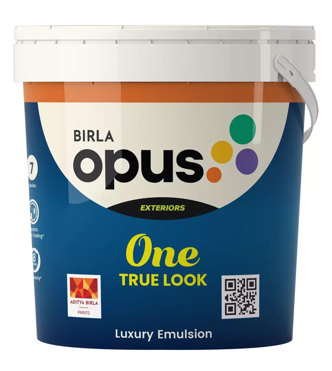 Birla Opus One True Look exterior emulsion pack