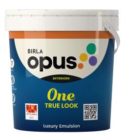 Birla Opus One True Look exterior emulsion pack