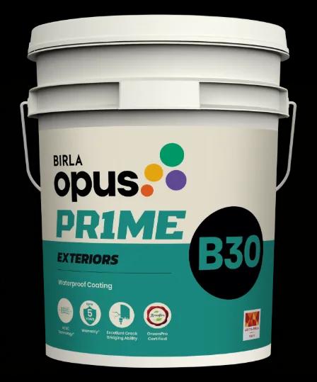 Birla Opus Prime B30 waterproof coating 20L pack