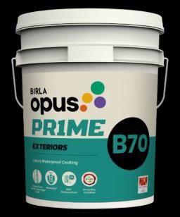 Birla Opus Prime B70 luxury waterproof coating 20L pack