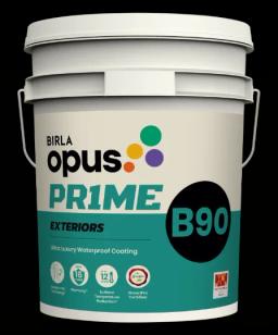 Birla Opus Prime B90 ultra luxury waterproof coating pack