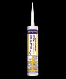 Asian Paints Akrylmax Prime acrylic gap sealant