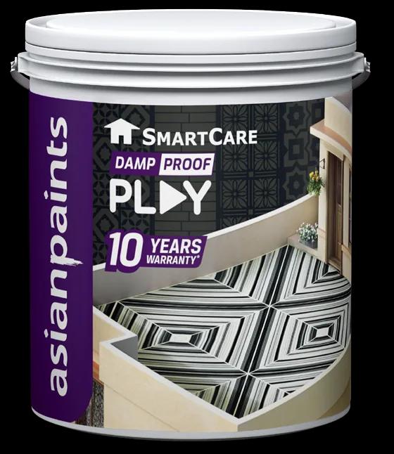 Asian Paints SmartCare Damp Proof Play decorative terrace coating