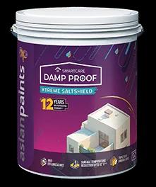 Asian Paints Damp Proof Xtreme Salt Shield terrace coating