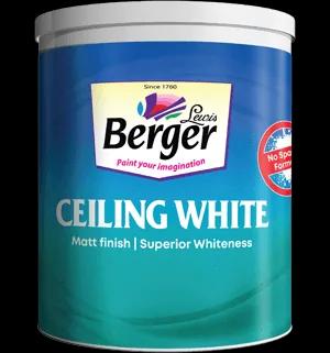 Berger Ceiling White interior ceiling paint